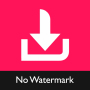 icon Video Downloader for TikTok - No Watermark TikMate