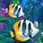 icon Fish Paradise 1.4.42