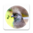 icon zoomnova.birdsringtones 32.0