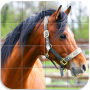 icon Horses Puzzle