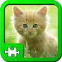 icon Puzzles Kittens