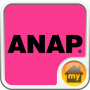 icon ANAP INTERFACE