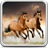 icon Horses Live Wallpaper 20.0