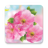 icon Spring Flowers Live Wallpaper 1.0.8
