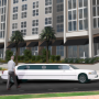 icon Limo Parking Driving