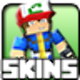 icon Pixelmon skins