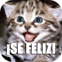 icon Imagenes Frases de Felicidad