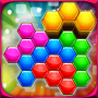 icon Hexa Blocks Logic Puzzles