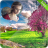 icon Scenery HD Photo Frames 3.0