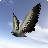 icon City Bird Fly Simulator 2015 1.2