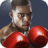 icon Punch Boxing 1.1.4
