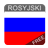 icon Rosyjski 9.0.14