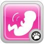 icon Babykick Tracker