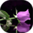 icon com.sabah.sowarmasae 6.2.7