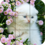 icon PuzzleKittens