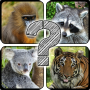 icon Guess The Animals