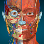 icon Anatomy Learning - 3D Anatomy untuk Samsung Galaxy Tab 3 Lite 7.0