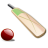 icon Cricket Live Score 3.1