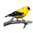 icon Bird Sounds,Calls And Ringtones 1.1