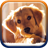 icon Cute Puppies Live Wallpaper 1.1.5