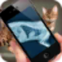 icon Simulation XRay Cat untuk LG Stylo 3 Plus