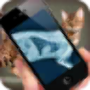 icon Simulation XRay Cat untuk Samsung Galaxy S I9003