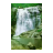 icon Waterfall live wallpaper 1.01