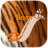 icon BOSS 3.8.6