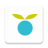 icon Huckleberry 0.9.208