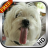 icon Puppy Licks Screen 3.0