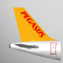 icon Pegasus: Cheap Flight Tickets untuk HomTom HT7 Pro