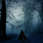 icon Dark Forest Surfer
