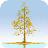 icon MirrorFact Ginkgo 1.3.5