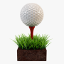 icon Mini Golf Club 2