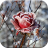 icon Frozen Flowers Live Wallpaper 1.0.4