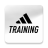 icon Training 6.31