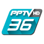 icon PPTVHD36