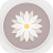 icon Retro Style 6.0.2