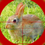 icon Rabbit Hunting