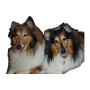 icon Dog Training untuk datawind MoreGMax 3G6