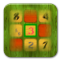 icon True Sudoku