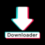 icon TTDownloader