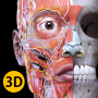 icon Anatomy 3D Atlas untuk swipe Elite 2 Plus