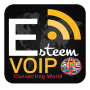 icon Esteem VoIP