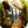 icon HD Aquarium Live Wallpaper 3D untuk Kenxinda X6