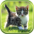 icon com.livewallpapers3d.cats 1.0.9
