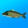 icon True Fishing. Simulator untuk BLU S1