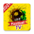 icon Live Football TV 1.0.0