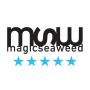icon MSW