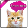 icon Cat translator